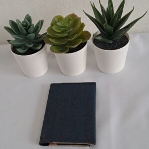 Porte carte minimaliste double - Caminha