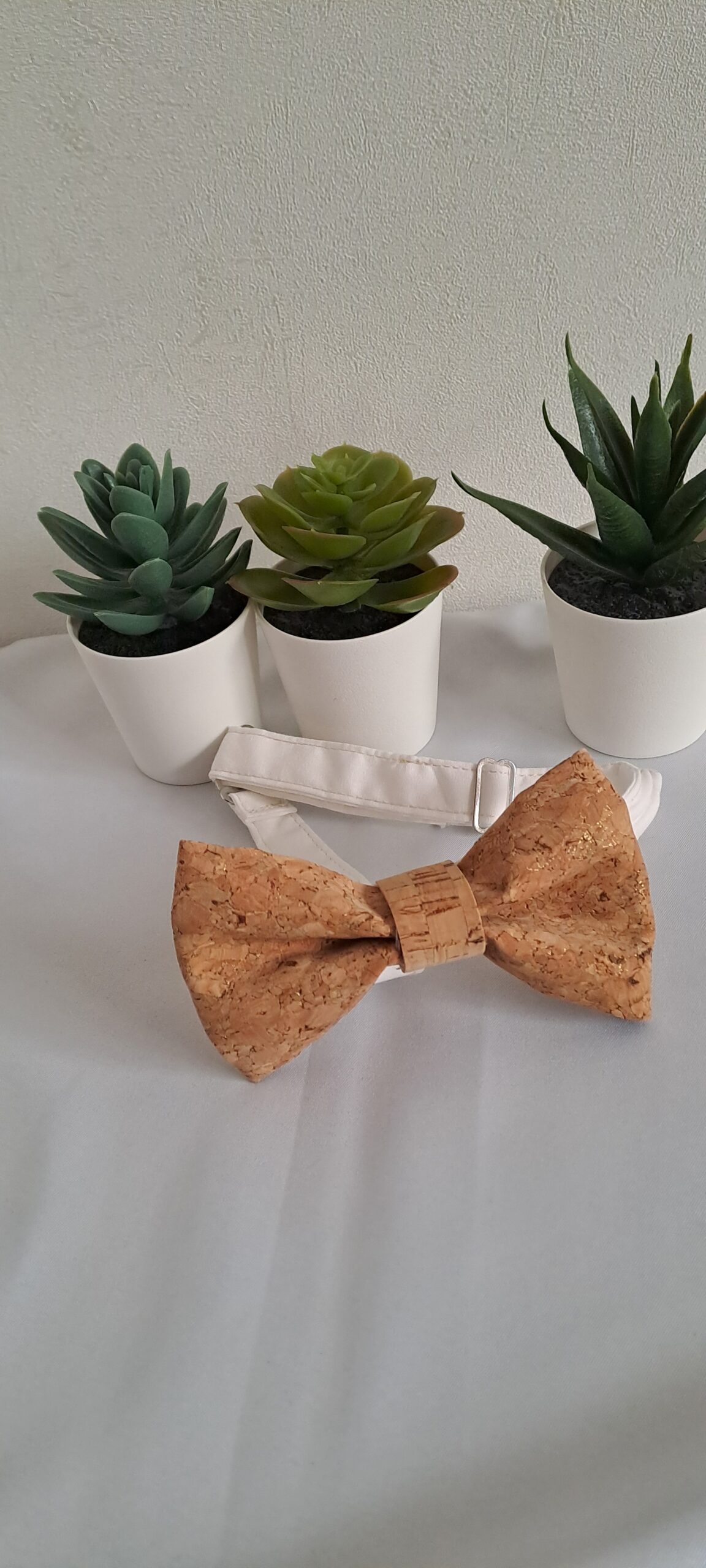 Noeud papillon - Sintra